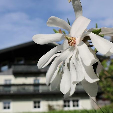 Haus Brandstatter Apartment Eben Im Pongau Exterior photo